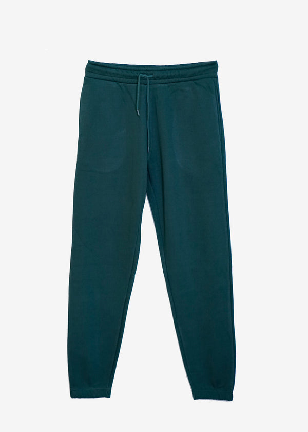 Winter Fleece Trousers for Men ( Sea Green )